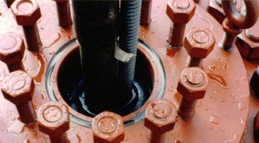 Torus BOP seals on multiple items